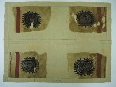 tunique  ; orbiculus ; fragments, image 2/2