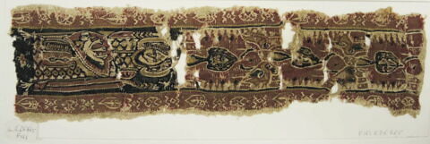 clavus ; fragment, image 2/3
