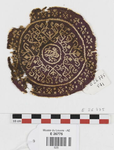 orbiculus ; fragment, image 1/2