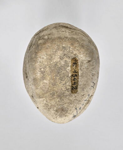 lampe à la grenouille, image 4/4
