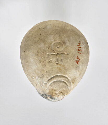 lampe à la grenouille, image 4/4