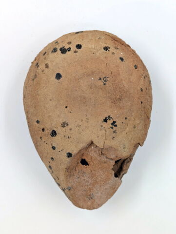 lampe à la grenouille, image 4/4