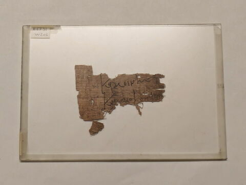 papyrus documentaire, image 2/3