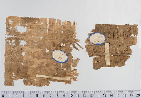 papyrus documentaire ; fragment, image 2/2