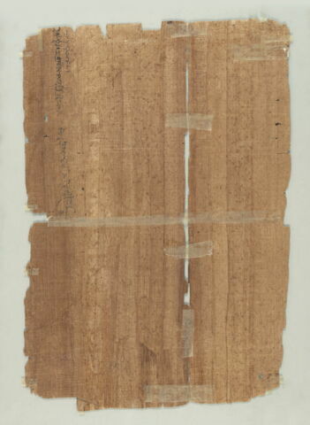 papyrus documentaire, image 2/2