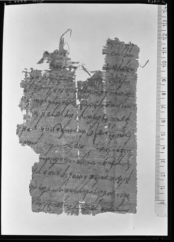 papyrus documentaire, image 2/2