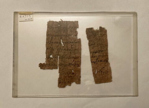 papyrus, image 1/1