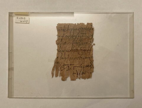 papyrus, image 1/1