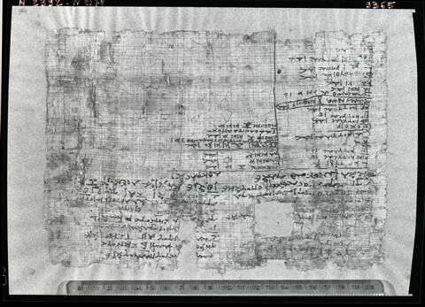 papyrus documentaire, image 1/1