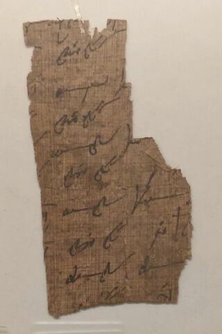 papyrus, image 2/2