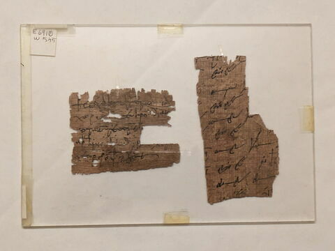 papyrus, image 1/2
