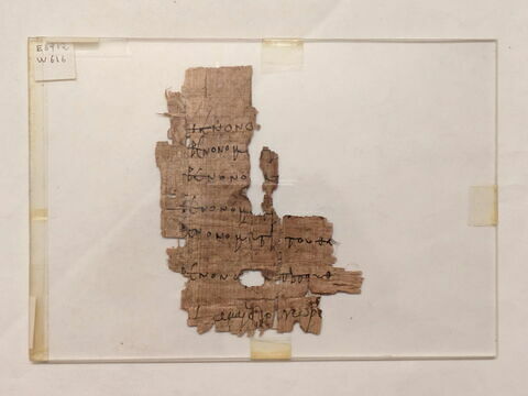 papyrus, image 1/1