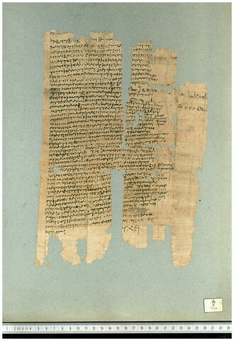 papyrus documentaire, image 1/3