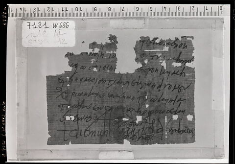 papyrus documentaire, image 1/2