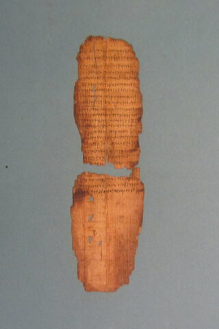 papyrus documentaire, image 3/7