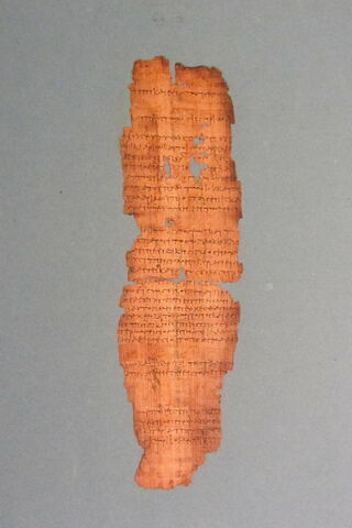 papyrus documentaire, image 4/7