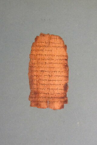 papyrus documentaire, image 5/7