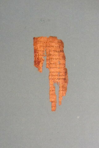 papyrus documentaire, image 6/7