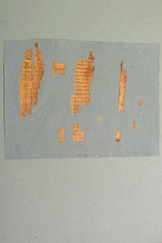papyrus documentaire, image 7/7