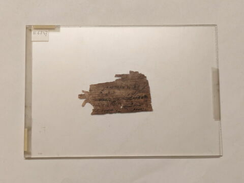 papyrus, image 1/1