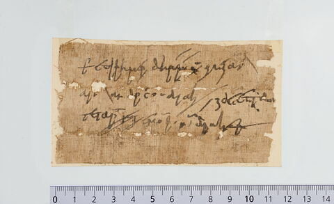papyrus documentaire, image 1/1