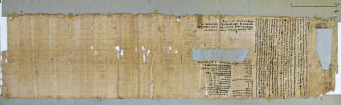 papyrus littéraire ; papyrus documentaire, image 5/7