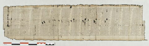 papyrus littéraire ; papyrus documentaire, image 1/6