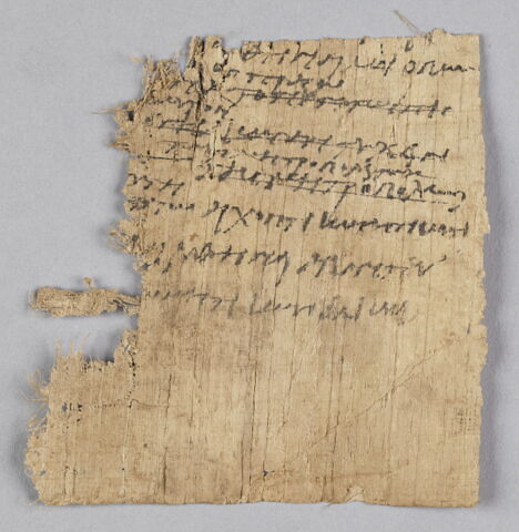 papyrus documentaire, image 2/2