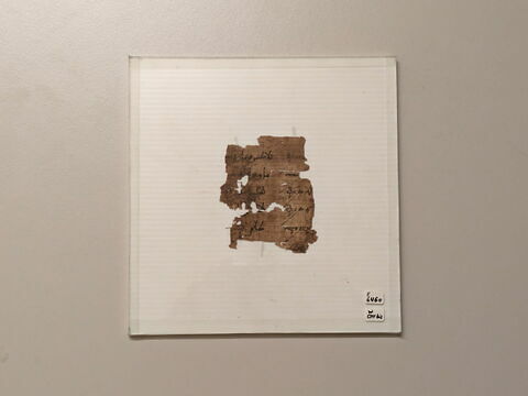 papyrus documentaire ; fragment, image 1/1