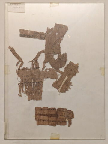 papyrus, image 2/2