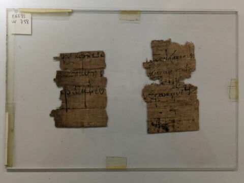 papyrus, image 2/2