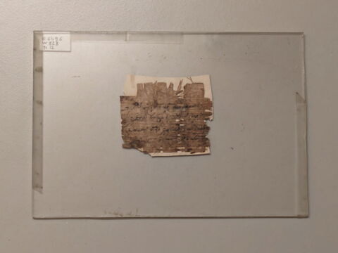 papyrus documentaire, image 1/1
