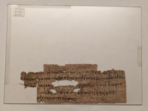 papyrus documentaire, image 1/1