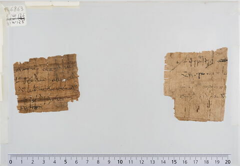 papyrus documentaire, image 1/1