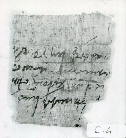 papyrus, image 3/3