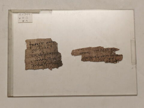 papyrus documentaire ; fragment, image 1/1
