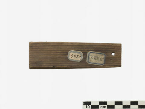 étiquette de momie rectangulaire, image 2/2