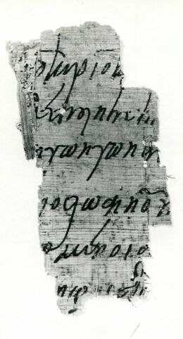 papyrus, image 1/1