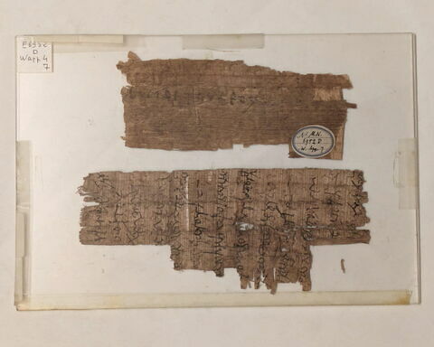 papyrus, image 2/2