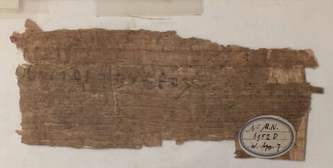 papyrus, image 1/2