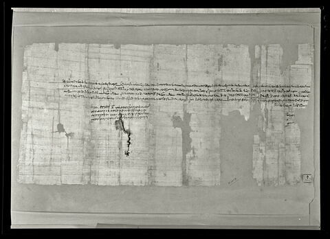 papyrus documentaire, image 3/3