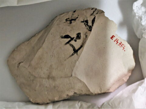 ostracon, image 2/3