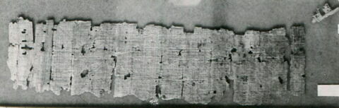 Papyrus Chassinat 6