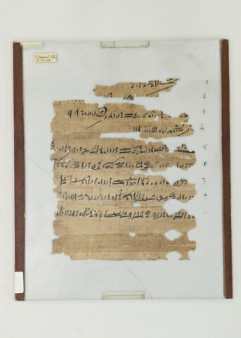 Papyrus Chassinat 8