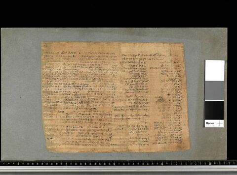 papyrus funéraire, image 9/9