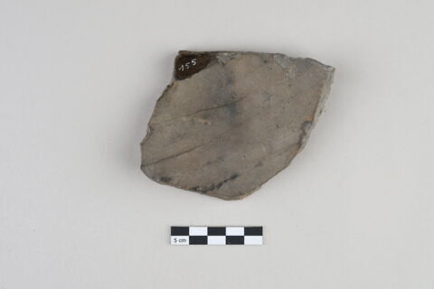 ostracon, image 2/3
