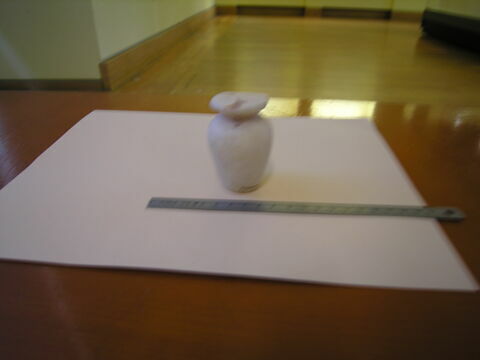 vase simulacre, image 1/1