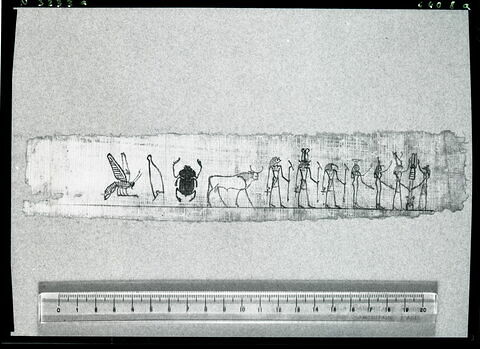 papyrus, image 2/2