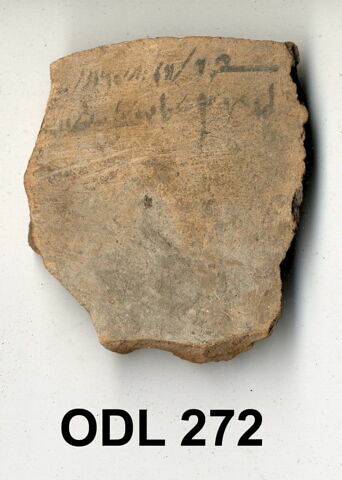 ostracon, image 1/1