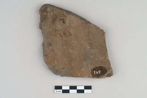 ostracon, image 3/3